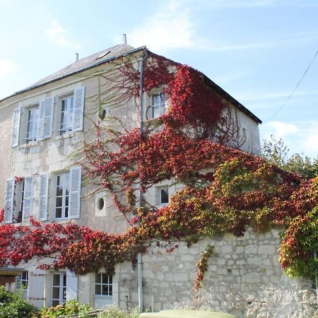 Gite Au Calme Avec Jardin Et Wifi A La Roche-Posay - Fr-1-541-52 Βίλα Εξωτερικό φωτογραφία